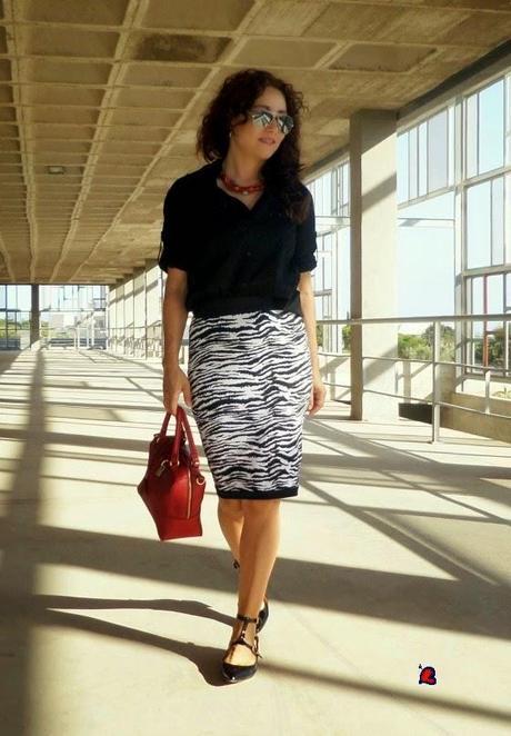 RayasDeCebra-ZebraStripes-Zébrures