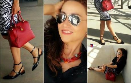 RayasDeCebra-ZebraStripes-Zébrures