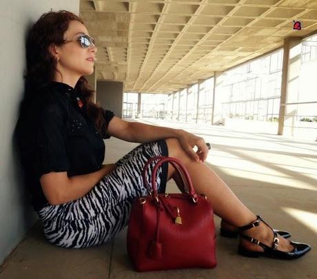 RayasDeCebra-ZebraStripes-Zébrures