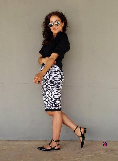 RayasDeCebra-ZebraStripes-Zébrures