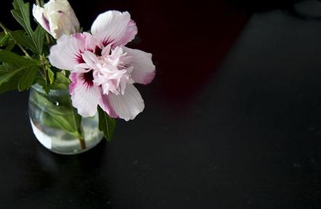 COLAS DE RAPE CON MIEL