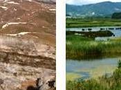 Ganadores Premios Europeos Natura 2000