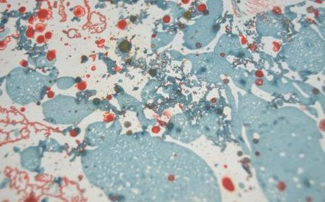 Leftie en marcha leftie9