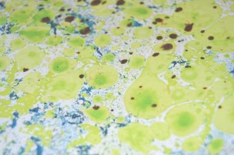 Leftie en marcha leftie10