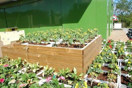 Integración de jardines y flora en el urbanismo de los edificiosora