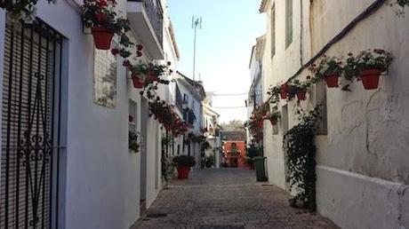 Estepona, vino y pinchos