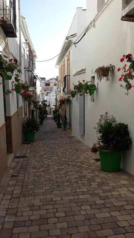 Estepona, vino y pinchos
