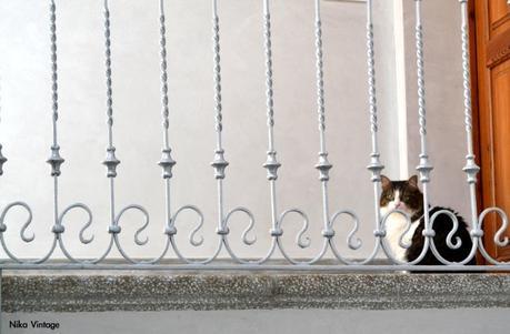 gato, escalera, Durero