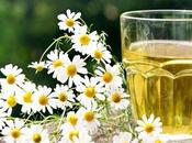 Infusiones naturales