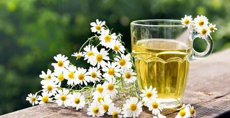 Infusiones naturales.