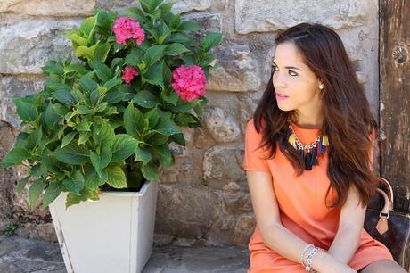 Just perfect! IMG_1214