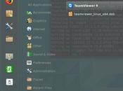 Cómo instalar Teamviewer Linux Mint