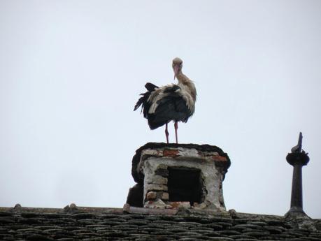 Pascua en Rumania. Transilvania II: Sighisoara, Sibiu