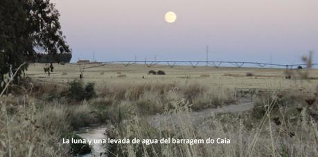 VISIÓN DE LA LUNA DEL 10 DE AGOSTO EN LA RAIA/RAYALa luna...