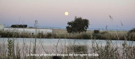 VISIÓN DE LA LUNA DEL 10 DE AGOSTO EN LA RAIA/RAYALa luna...
