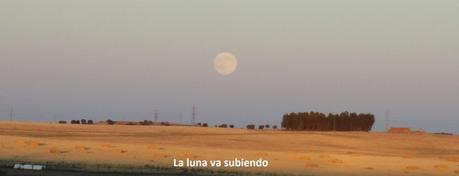 VISIÓN DE LA LUNA DEL 10 DE AGOSTO EN LA RAIA/RAYALa luna...