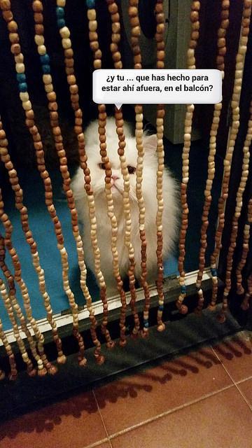 estamos tan agustito