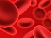 llevo sangre
