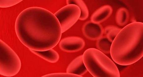 La llevo en la sangre