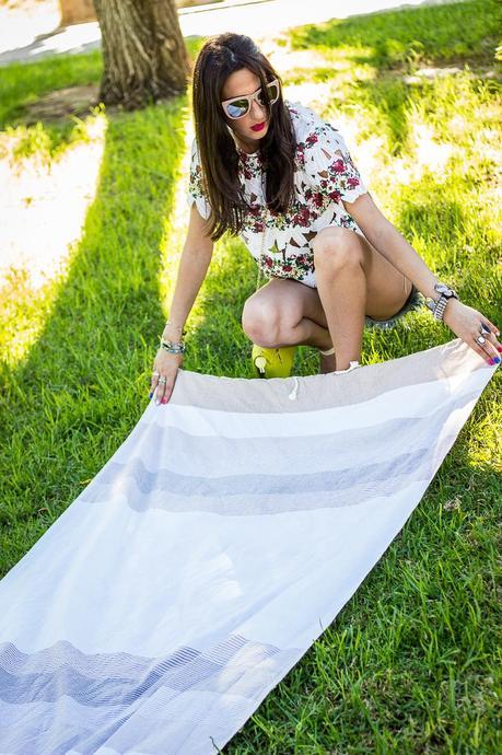 A Perfect Day In The Park A Perfect Day In The Park