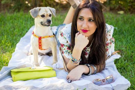 A Perfect Day In The Park