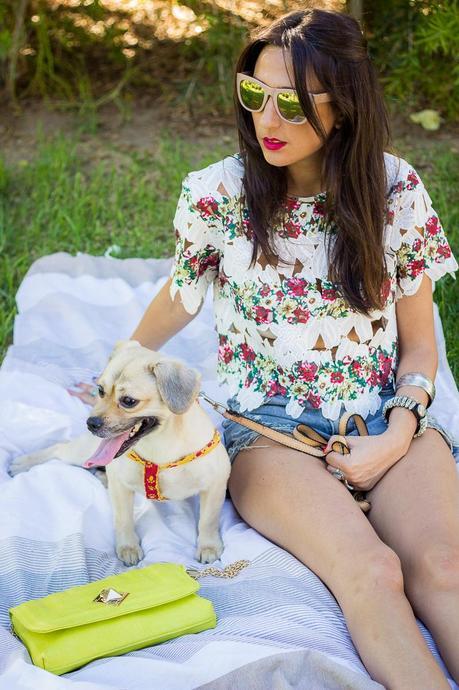 A Perfect Day In The Park A Perfect Day In The Park