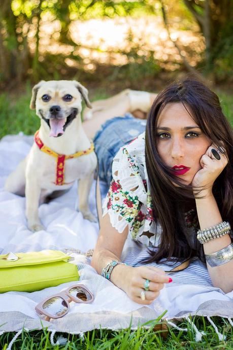 A Perfect Day In The Park A Perfect Day In The Park