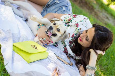 A Perfect Day In The Park A Perfect Day In The Park