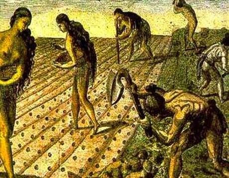 Un paseo por la historia económica de la humanidad.