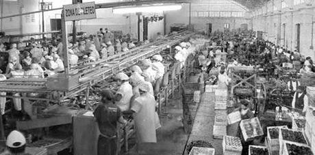 Un paseo por la historia económica de la humanidad.