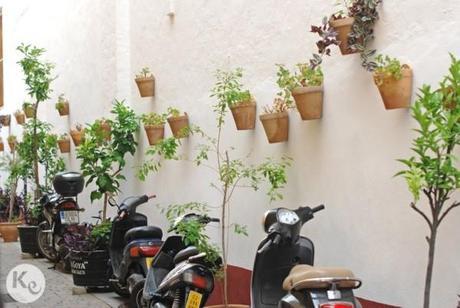 Sanlúcar de Barrameda. Cadiz (Spain) Sanlúcar de Barrameda. Cadiz (Spain)