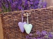 flor lavanda