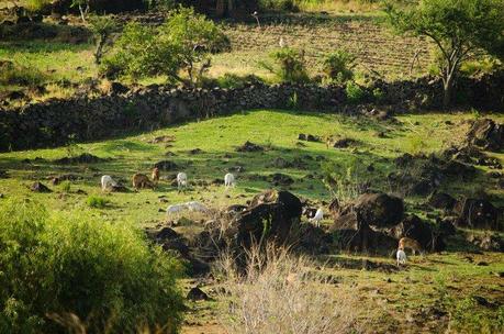 Ciloturismo y turismo