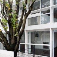 PLANOS DE NATURALEZA PICTÓRICA 12 PLANOS DE NATURALEZA PICTÓRICA 12