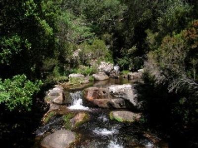 Las Llegas de los Montes de Toledo