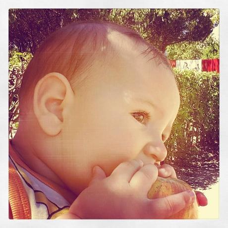 La comida antes de los 6 meses La comida antes de los 6 meses