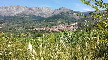 Mirando hacia arriba por la noche. Estrellas y más