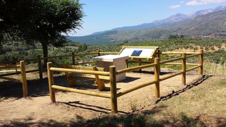 Mirando hacia arriba por la noche. Estrellas y más