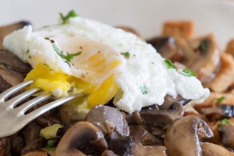 RAGOUT DE CHAMPIGNONES Y PORTOBELLOS CON HUEVO POCHE