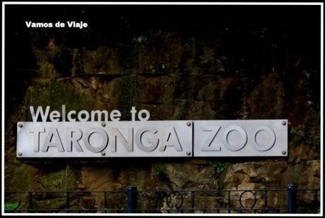 taronga zoo sydney