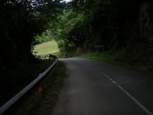 Vegetación hasta que parece una cueva