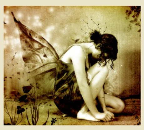 Cuentos de muchas mentiras: Polillita - 1