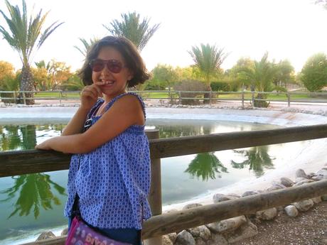 universidad de alicante, san vicente del raspeig, patos, tortugas, peces, parque, 