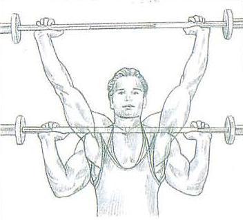 Entrenamiento de hombro- De forma efectiva. Entrenamiento de hombro- De forma efectiva.