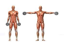 Entrenamiento de hombro- De forma efectiva. Entrenamiento de hombro- De forma efectiva.