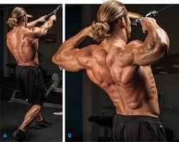 Entrenamiento de hombro- De forma efectiva. Entrenamiento de hombro- De forma efectiva.