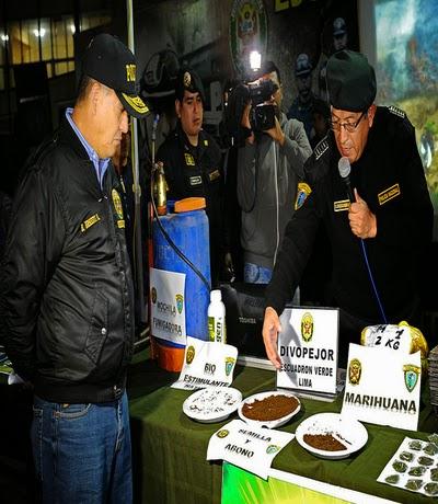 En zonas alto andinas de Lima provincias: POLICÍA NACIONAL ENCONTRÓ E INCINERÓ PLANTONES DE MARIHUANA…