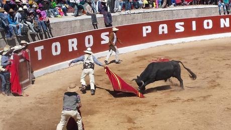 chumbivilcas-toros-conflicto-qorilazo-constancia