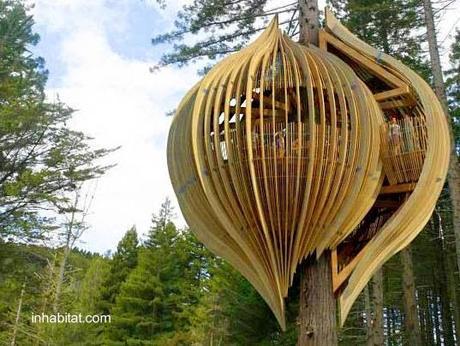 Con la forma de una gota o un fruto y calada a media altura Sofisticada casa del árbol orgánica en Nueva Zelanda