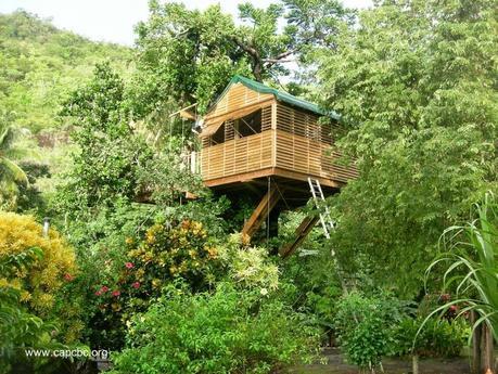 Casa del árbol en el Caribe